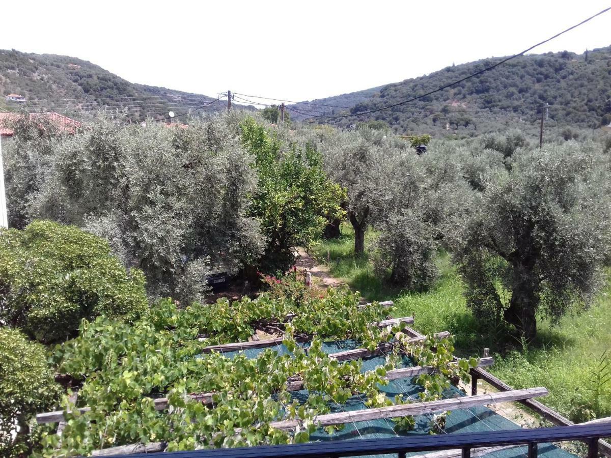 Koutadelias Rooms Kalamos  Exterior photo